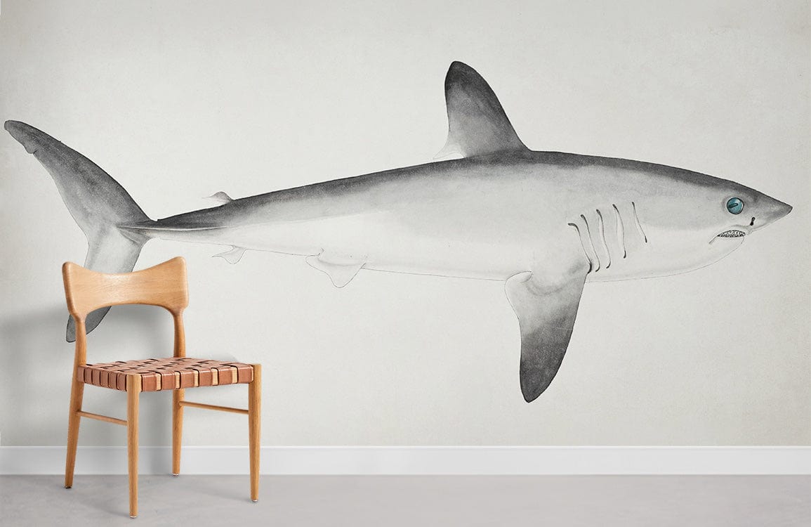 Papier peint de requin porbeagle