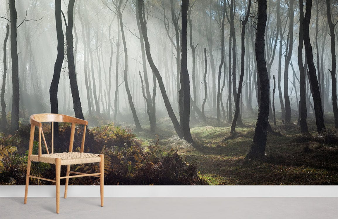 Forêt le Matin Avec des Peintures Murales de Brouillard Léger pour la Maison