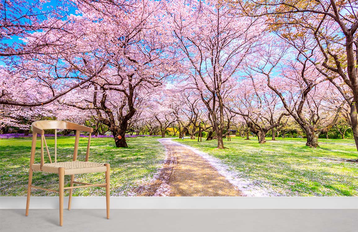 Jardin Sakura fleuri avec des fleurs tombées sur le chemin des peintures murales pour la maison