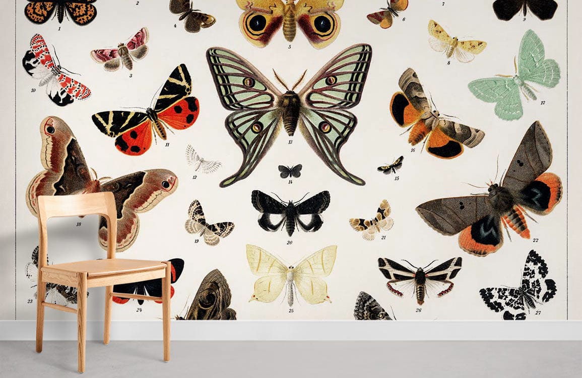 Papier peint de papillon antique et papillon mural