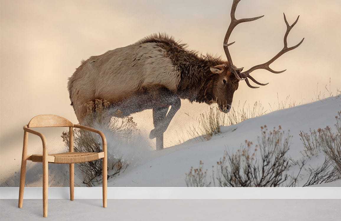Bull elk sur papier peint de papier peint enneigé
