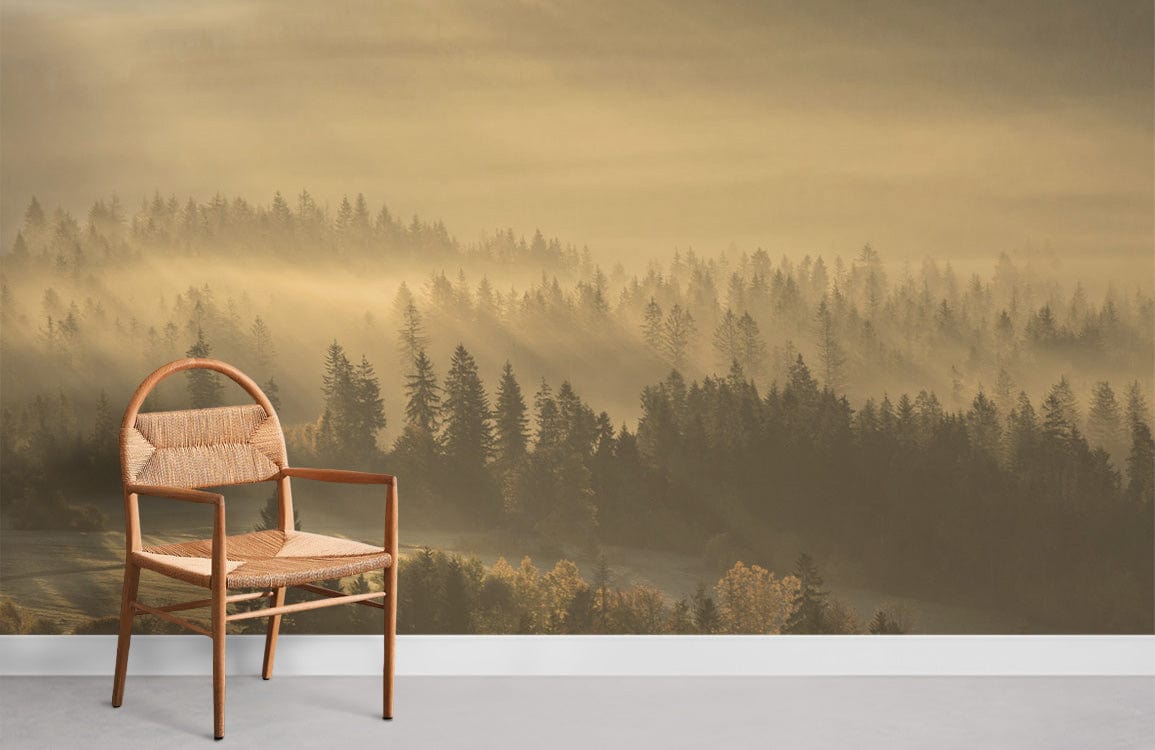Soleil à travers le brouillard et le papier peint de la forêt nuageux