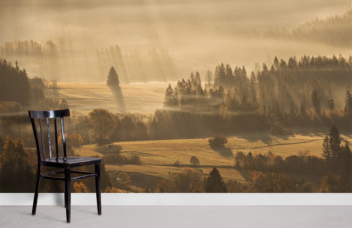 Fond de nuages ​​et brouillard en forêt entourés