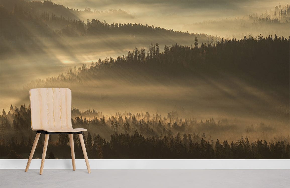 brouillard et lumière à travers le papier peint