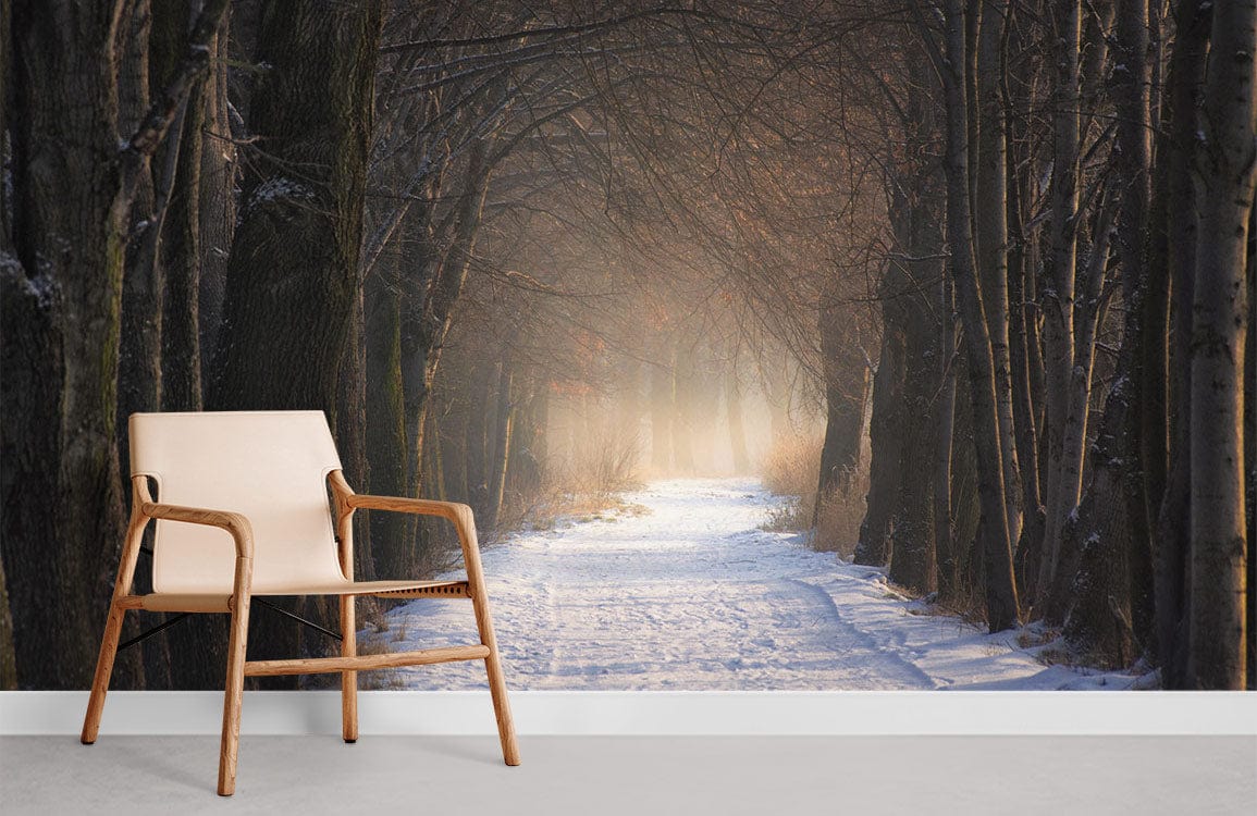 Path de neige solitaire dans le papier peint de la forêt