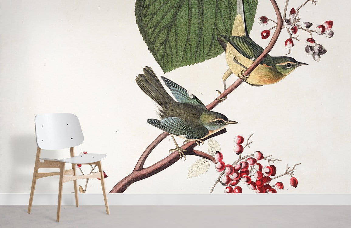 Chambre de papier peint de beaux oiseaux
