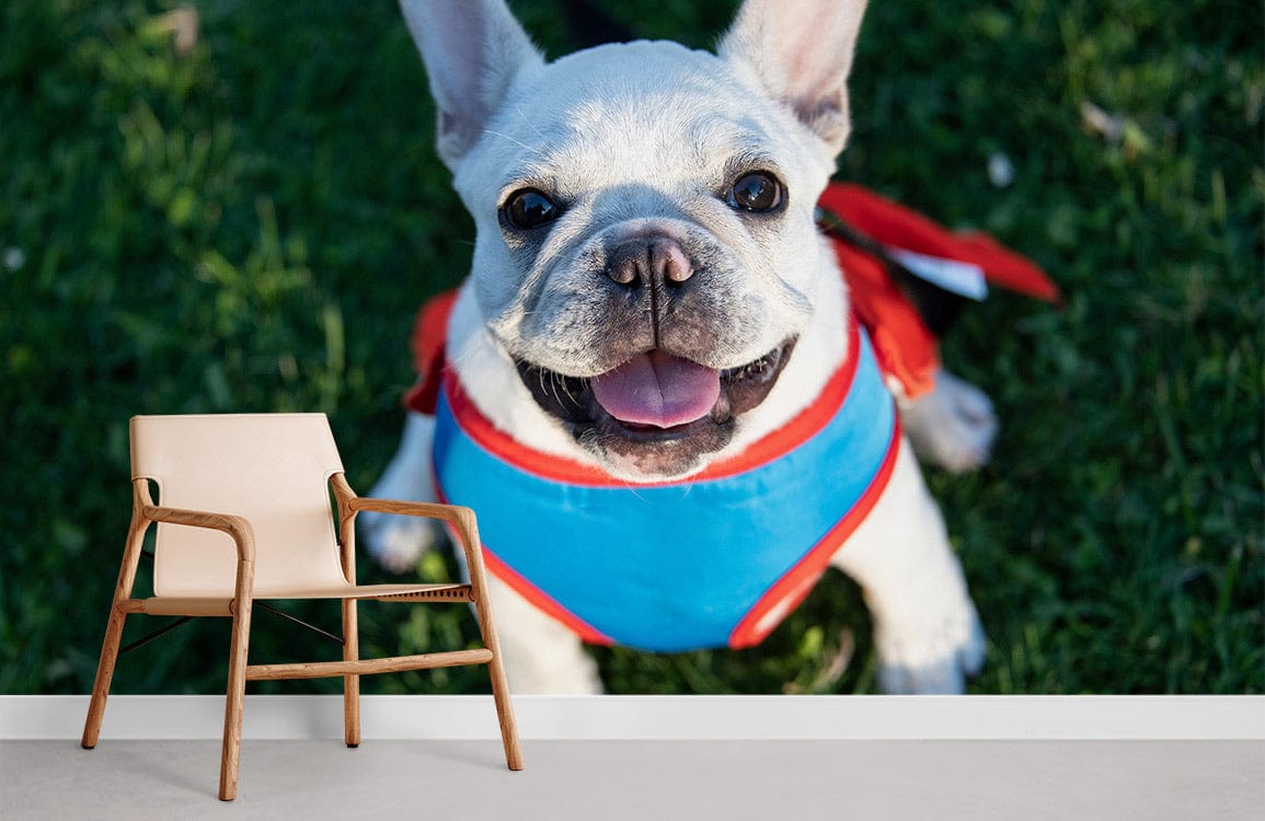 Papier Peint Fresque Bouledogue Heureux