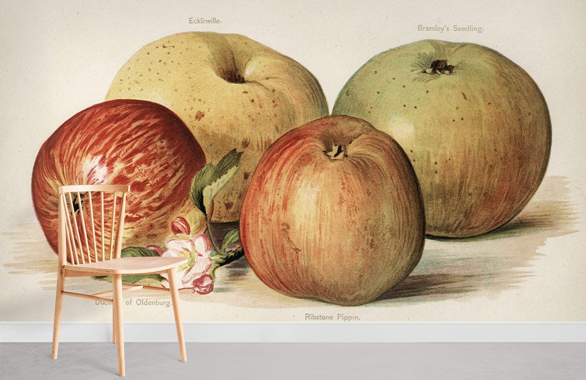 Salle de peintures murales photo de pommes vintage