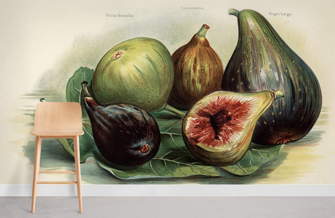 murales de fruits de figue vintage