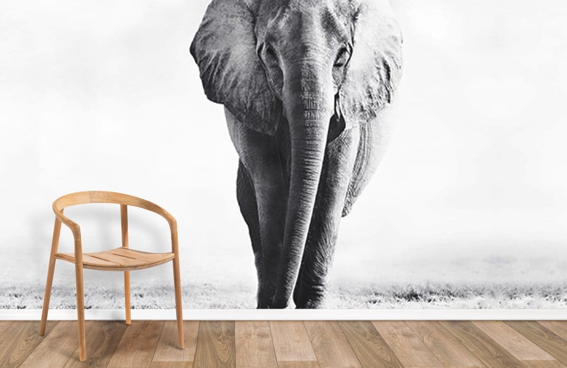 Fond de papier peint d'éléphants sauvages
